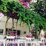 Agan Gazde/Camere de închiriat Bodrum