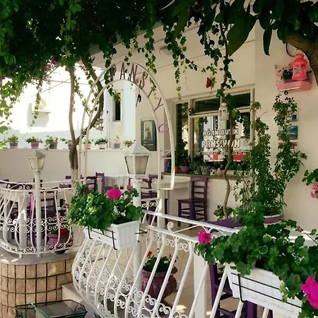 Séjour chez l'habitant Agan Bodrum