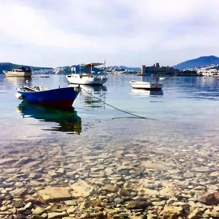 Agan Bodrum