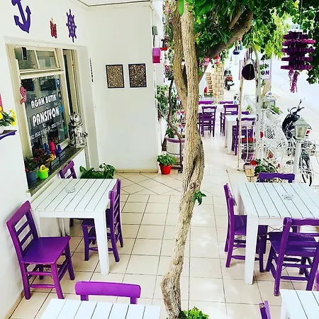 홈스테이 Agan Bodrum