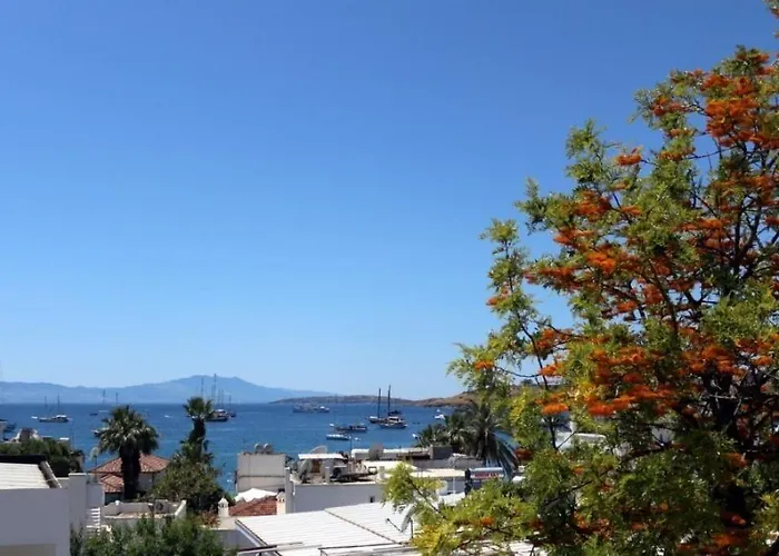 ホームステイ Agan