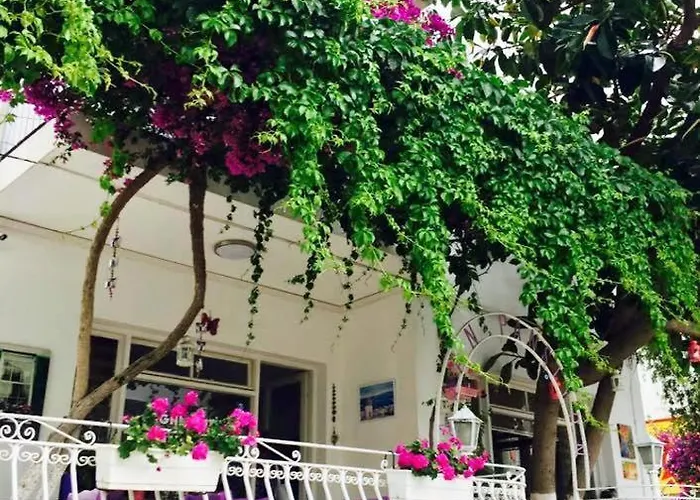 Agan ホームステイ ボドルム